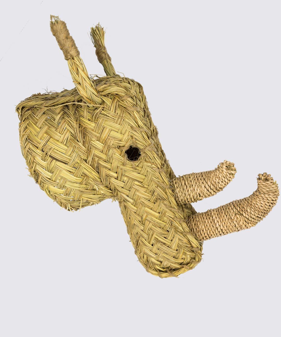 Rinoceronte