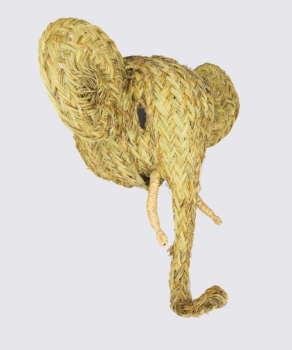 Elefante