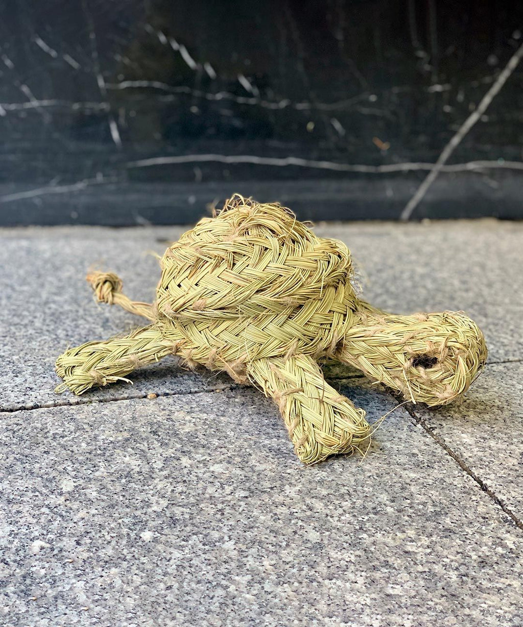 Tortoise