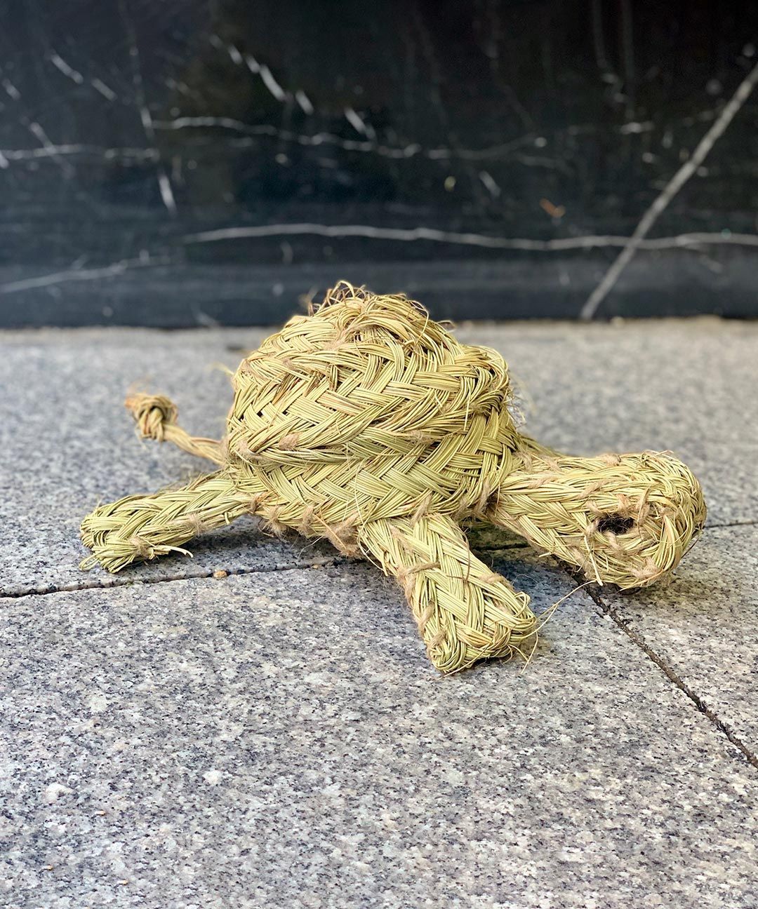 Tortuga