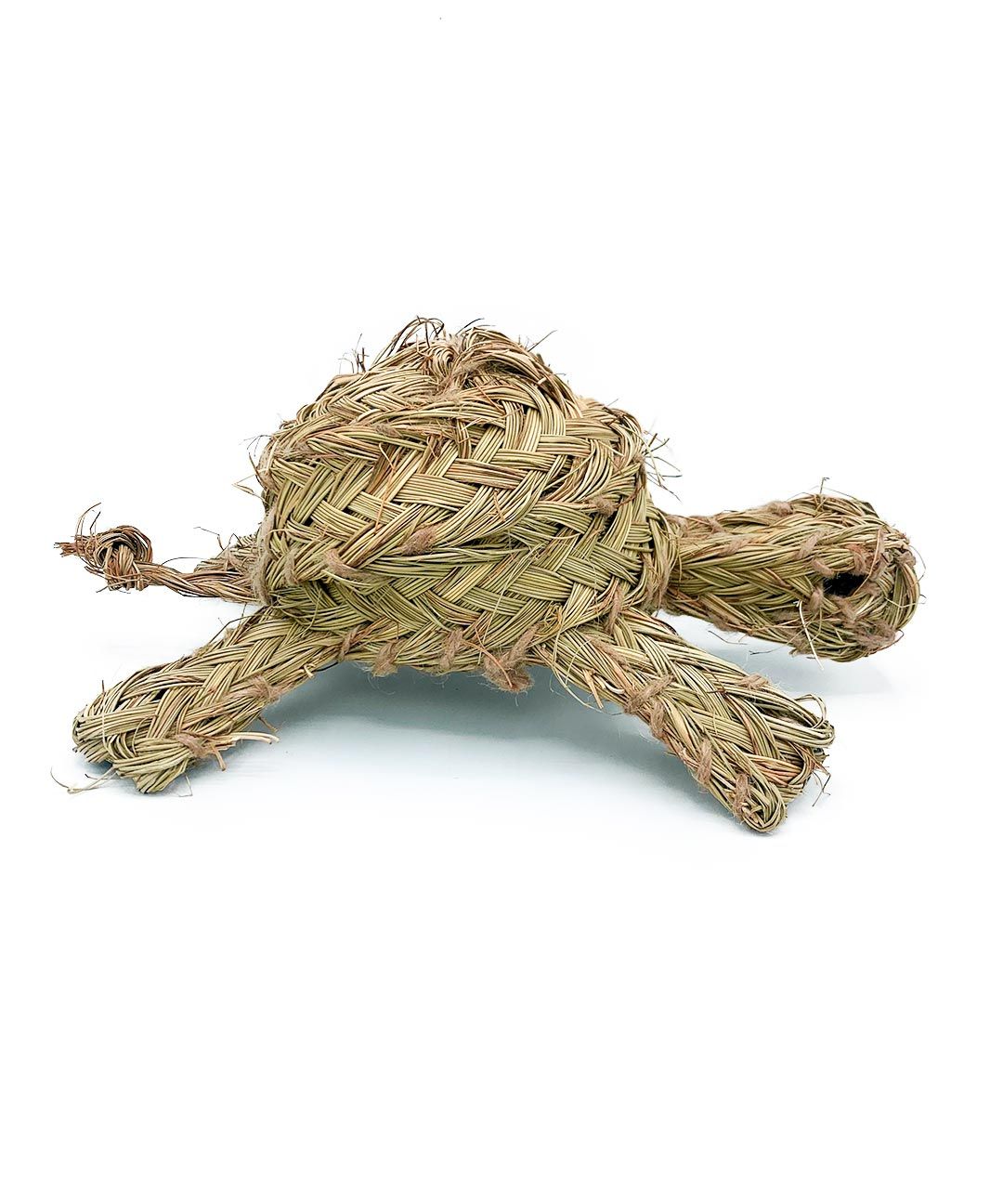 Tortuga